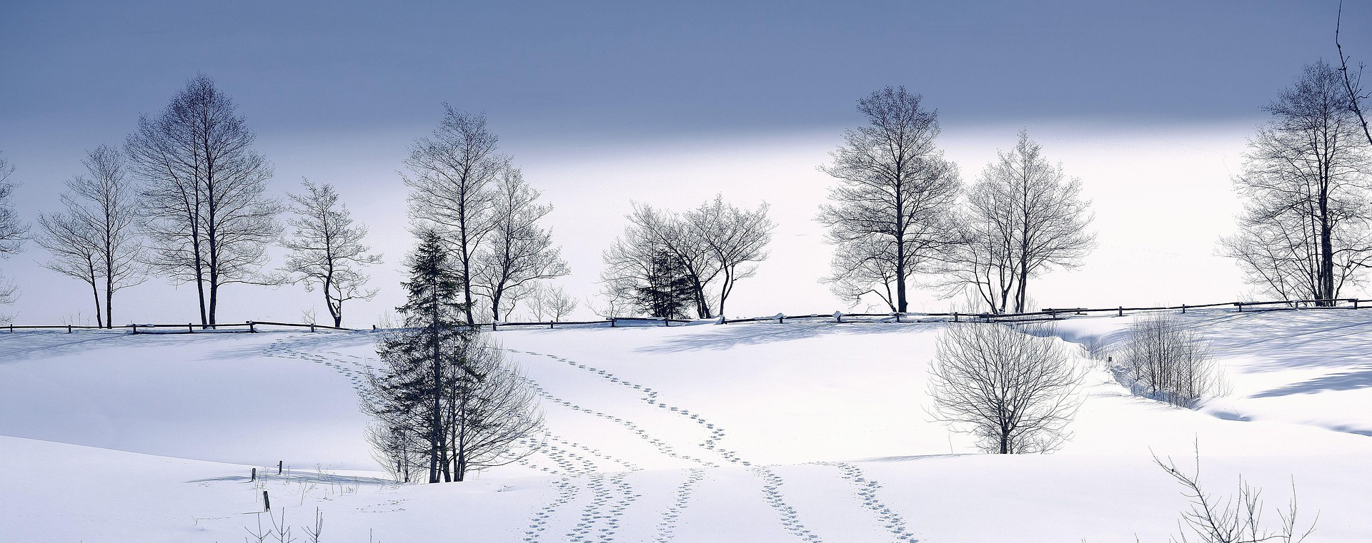 Contactar con profesores de esquí en Baqueira